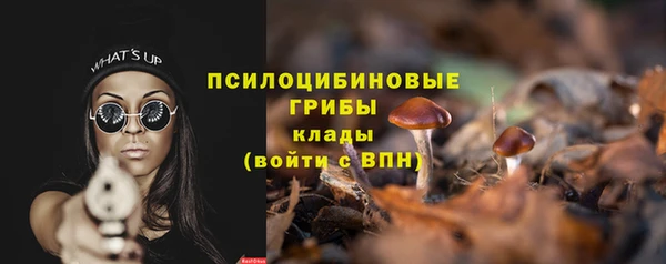 прущие крисы Беломорск