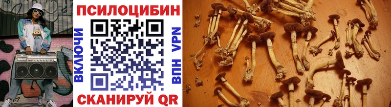 Галлюциногенные грибы Cubensis  мориарти как зайти  кракен ССЫЛКА  Жиздра  купить наркоту 